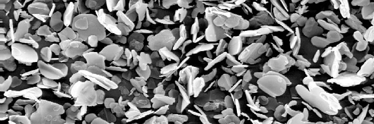 HF_CL_SP_045_1200.jpg HF_CL_SP_045_1200.jpg