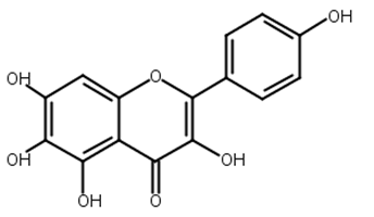 6-羟基山奈酚