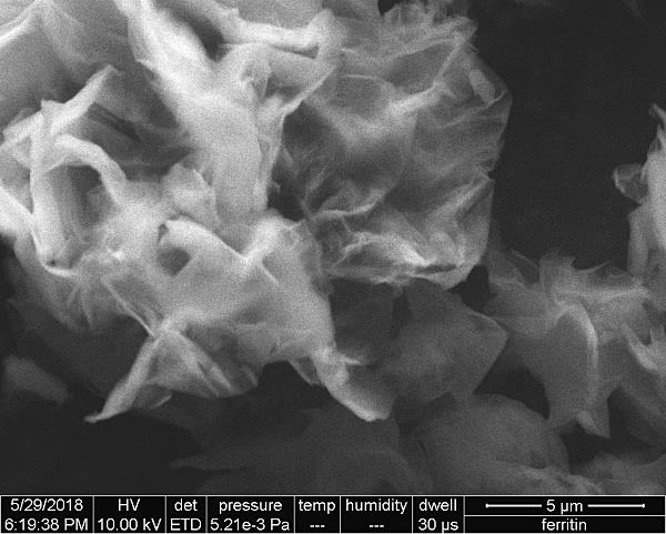 20201231112919.jpg 20201231112919.jpg