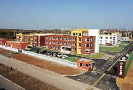 N-Fmoc-N'-[1-(4,4-二甲基-2,6-二氧代环己亚基)乙基]-L-赖氨酸