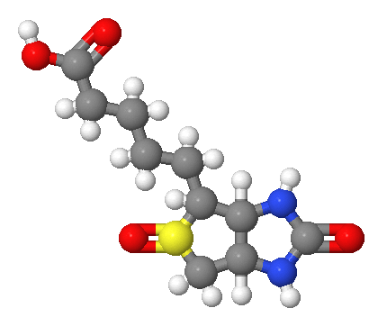 10406-89-0；生物素杂质1((+)-生物素(+)-亚砜)