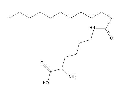 QQ截图20210114135224.png QQ截图20210114135224.png