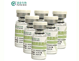 重组赖氨酰内切酶(Lys-C)