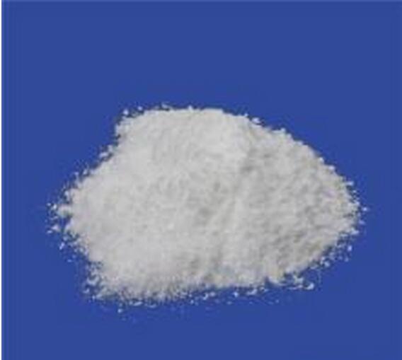 乙酰左旋肉碱盐酸盐