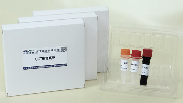 UGT incubation system（UGT孵育系统）