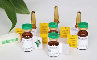 6-羟基-2-(2-苯乙基）色酮