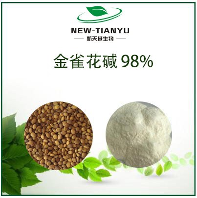 金雀花碱98%