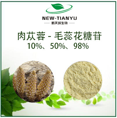 肉苁蓉-毛蕊花糖苷