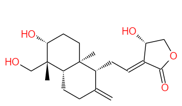 穿心莲内酯