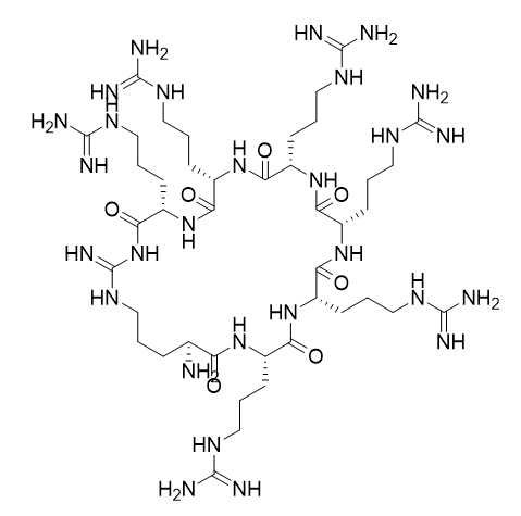 Cyclo(Arg-Arg-Arg-Arg-Arg-Arg-Arg)