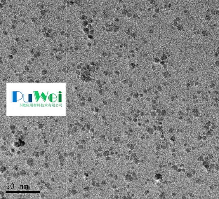 聚乙烯亚胺修饰的四氧化三铁磁性纳米颗粒