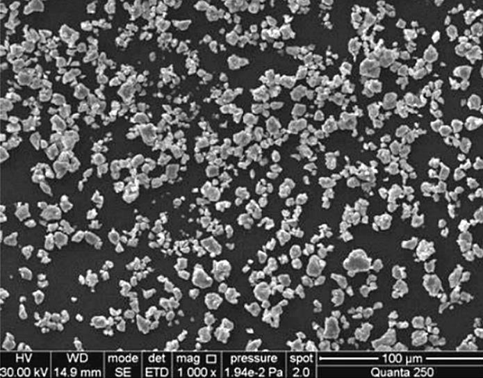 20210318201703.jpg 20210318201703.jpg