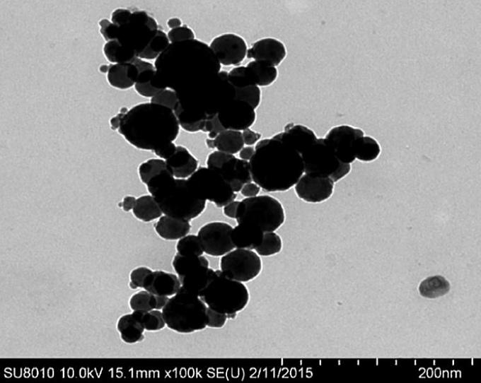 20210402094549.jpg 20210402094549.jpg