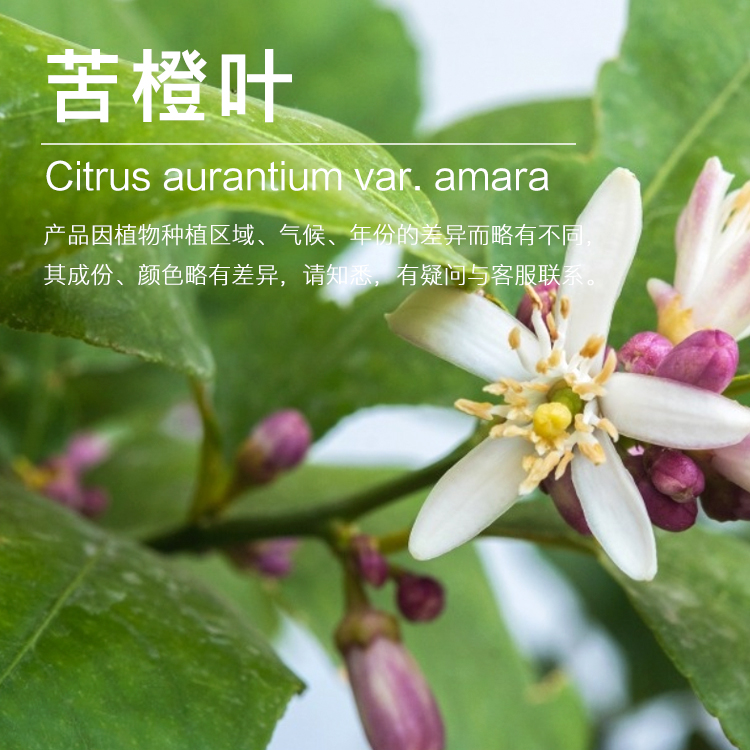 苦橙叶精油
