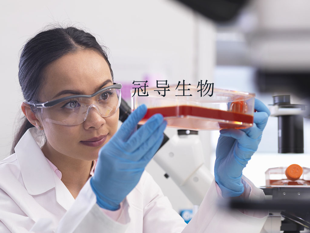 CESS人急性髓系白血病复苏细胞(附STR鉴定报告)