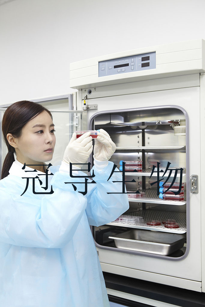 HDLM-2人霍奇金淋巴瘤复苏细胞(附STR鉴定报告)