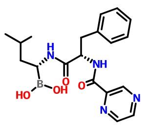 40-硼替佐米.jpeg 40-硼替佐米.jpeg
