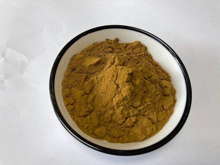 决明子.jpg 决明子.jpg