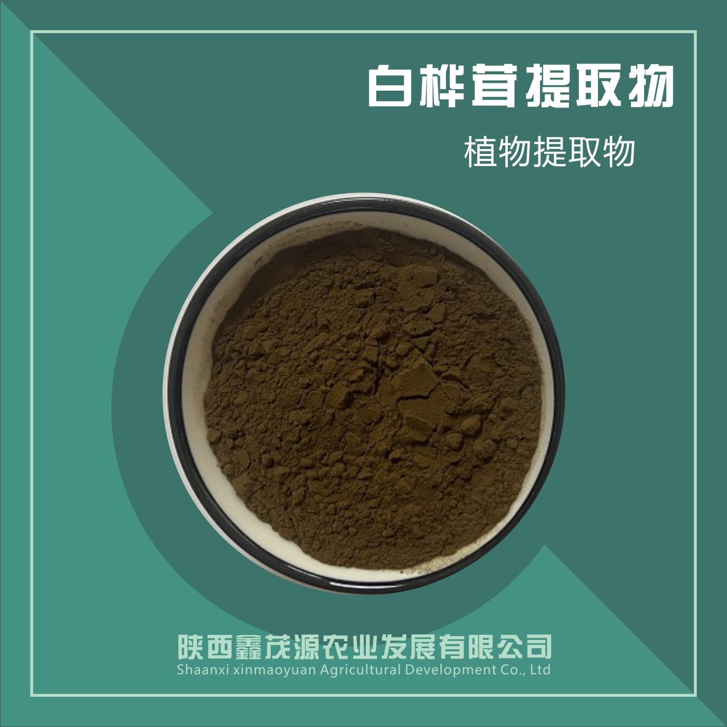 白桦茸提取物
