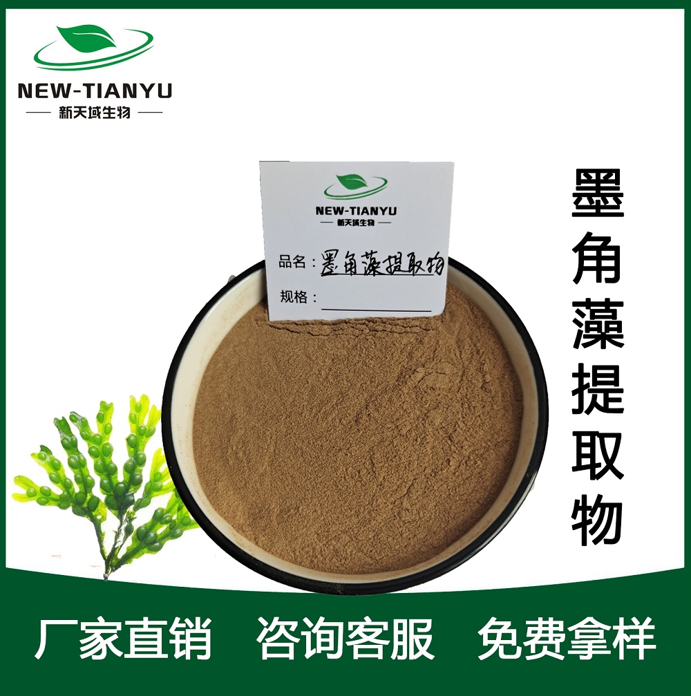 墨角藻提取物 厂家直销 物美价廉 质量保障