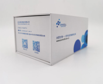 A875（人黑色素瘤细胞）