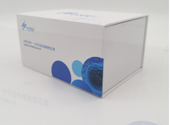 AML-12（小鼠正常肝细胞）