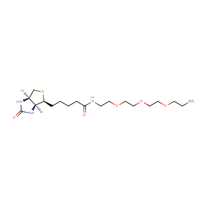 N-生物素-3,6,9-三氧杂十一烷-1,11-二胺
