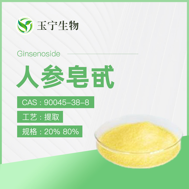 人参提取物（人参皂甙）