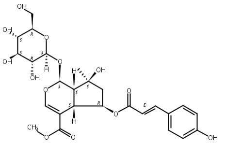 6-O-反式对香豆酰山栀苷甲酯
