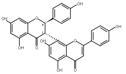 倭氏藤黄双黄酮