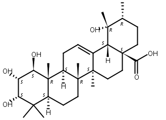 1-beta-羟基蔷薇酸