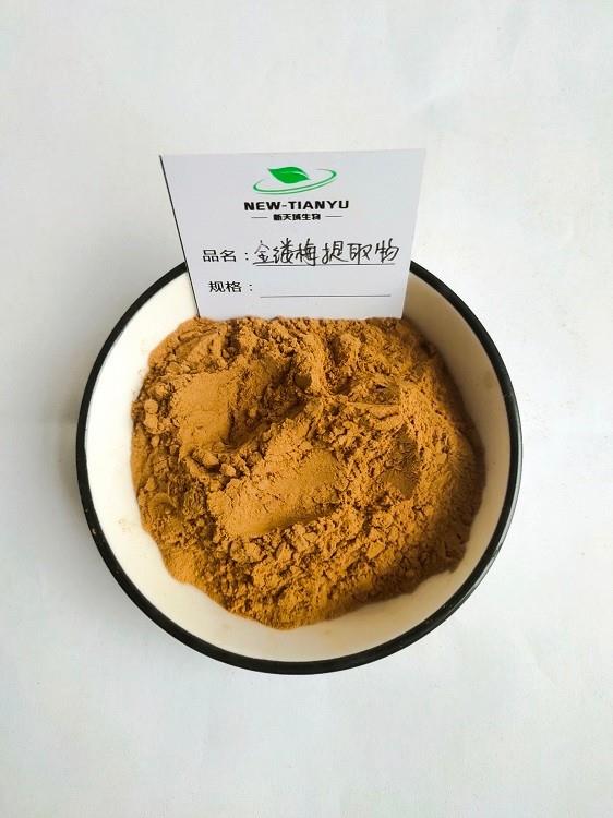 金缕梅提取物1.jpg