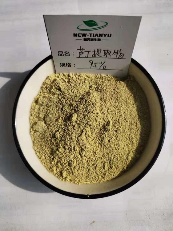 桑叶提取物95%2.jpg