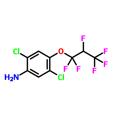2,5-二氯-4-(1,1,2,3,3,3-六氟丙氧基)苯胺