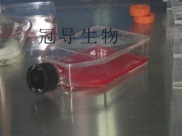 产品(3).jpg 产品(3).jpg