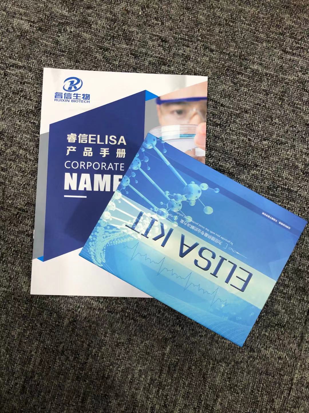 兔布鲁氏杆菌（Brucella） ELISA试剂盒