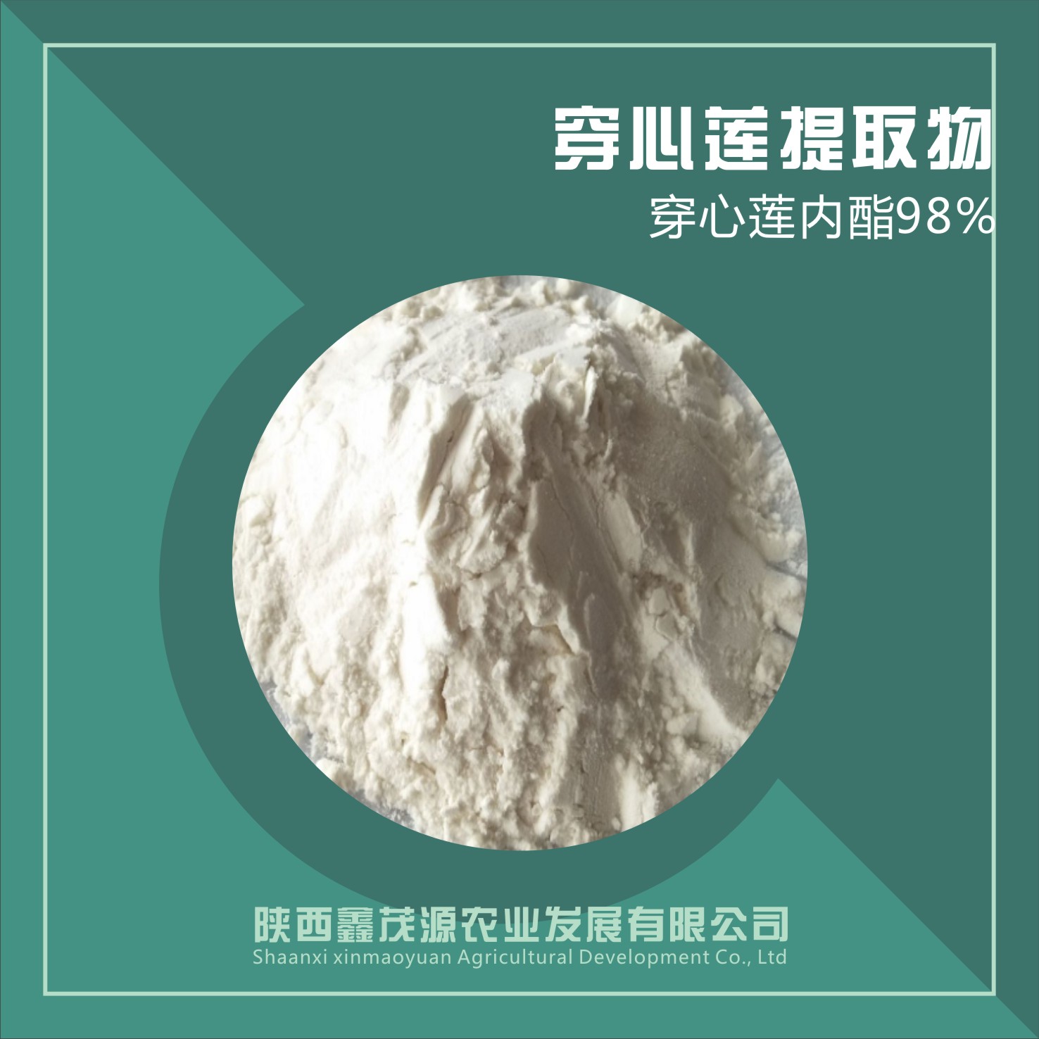 穿心莲提取物/穿心莲内酯