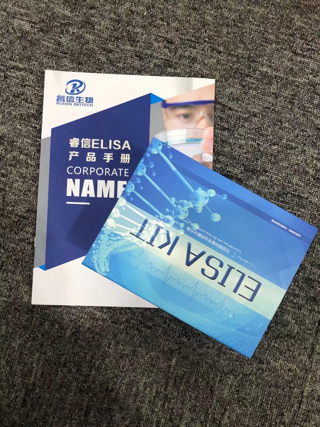 13b76188ecbe6e876cfe761a3b73965 - 副本.jpg