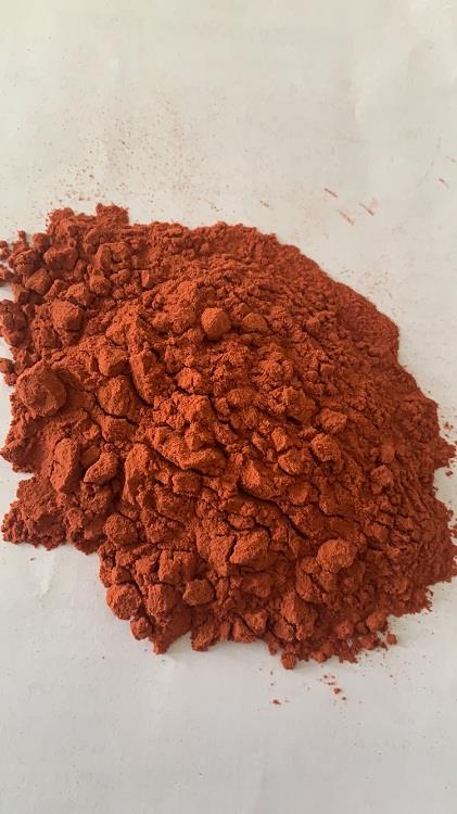 红花.jpg 红花.jpg