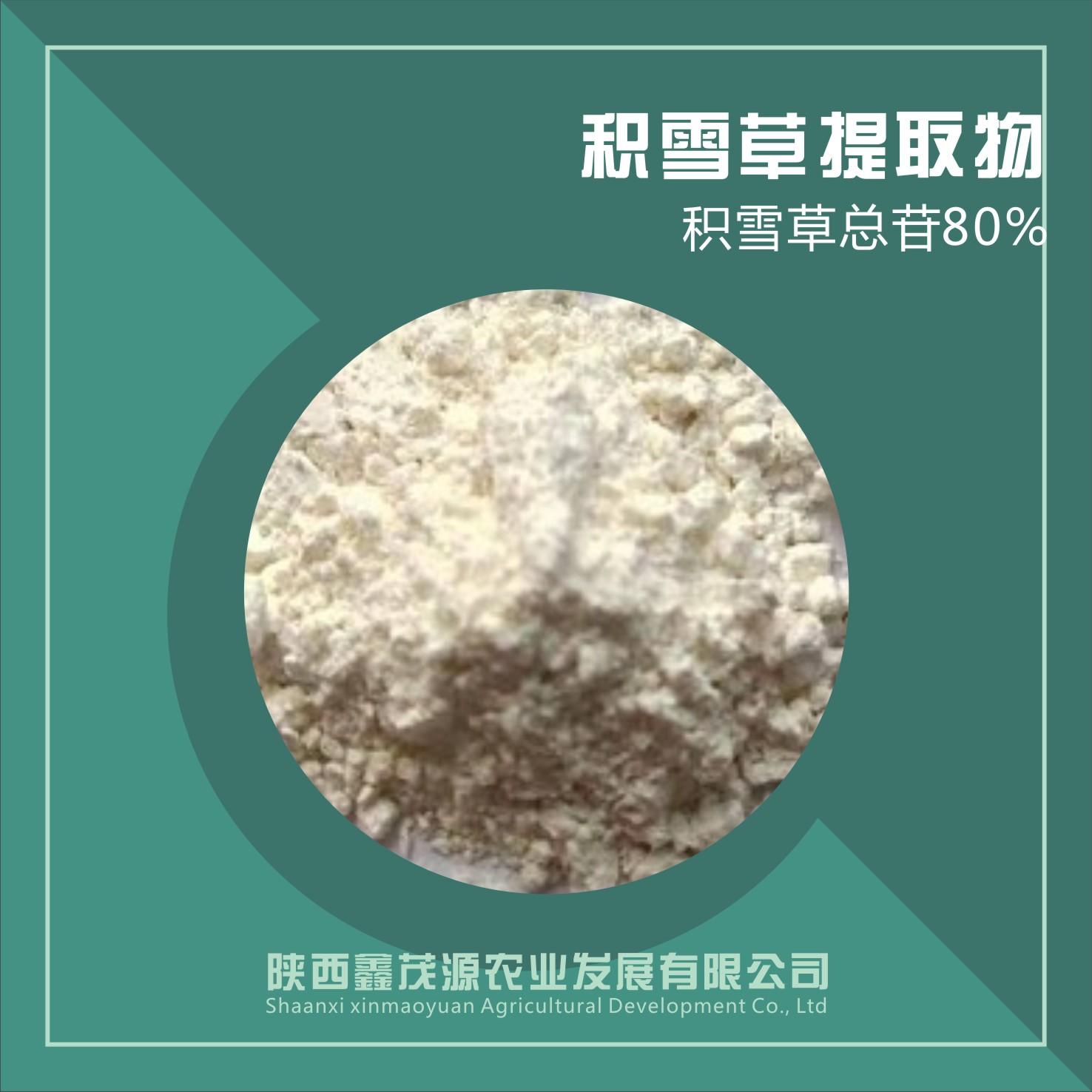 积雪草提取物/积雪草总苷