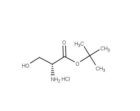 H-D-Ser-OtBu·HCl