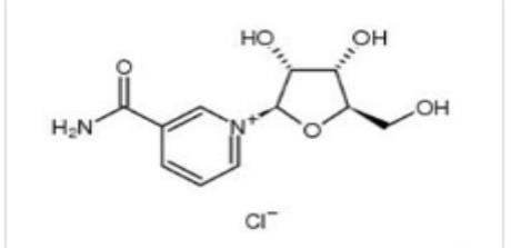 微信图片_20210513105835.png 微信图片_20210513105835.png