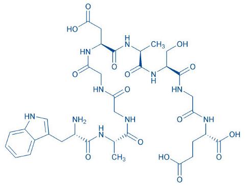 1610345409634656.jpg PEP008.jpg