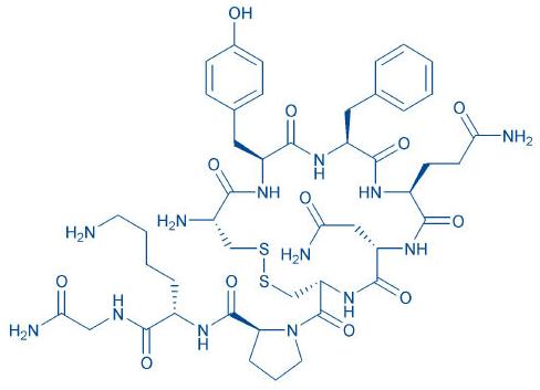 1610085283550438.jpg PEP033.jpg