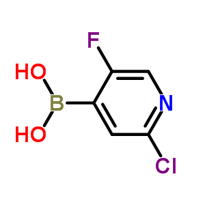 2-氯-5-氟吡啶-4-硼酸