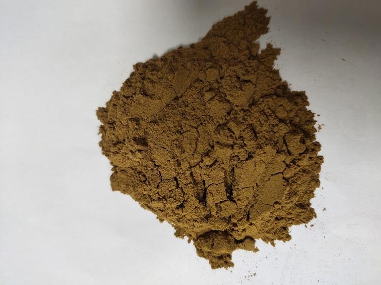 洋甘菊.jpg 洋甘菊.jpg