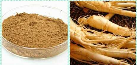 人参提取物    人参皂甙   人参茎叶提取物   