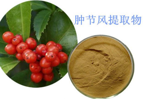 肿节风提取物     异秦皮啶0.25%-0.3%