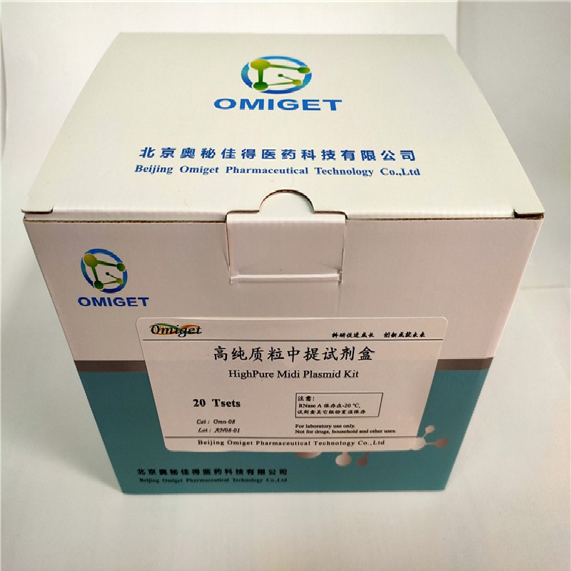 高纯质粒中提试剂盒
