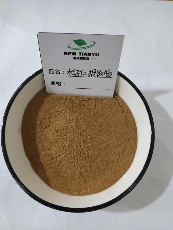 松子仁提取物.jpg 松子仁提取物.jpg